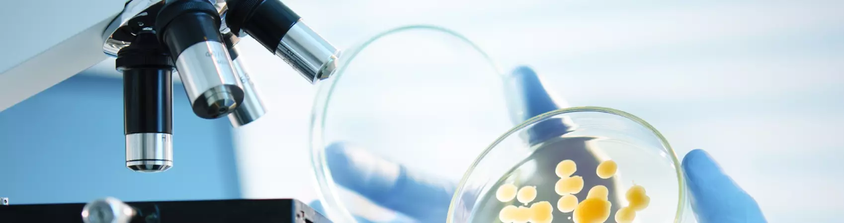 Requaconsult - Analyses